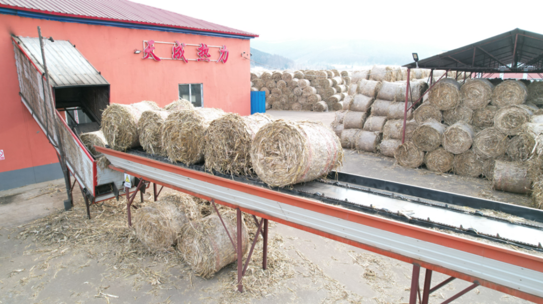 解析燒鋸末木條的生物質鍋爐除塵除煙方法